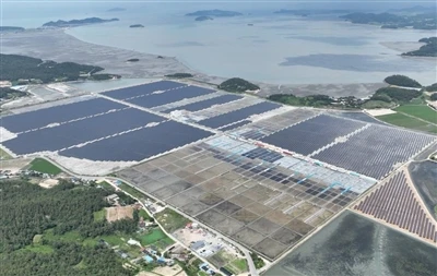 Mae De Korea yn lansio tendr solar 1GW gyda safonau carbon llymach a chap pri...